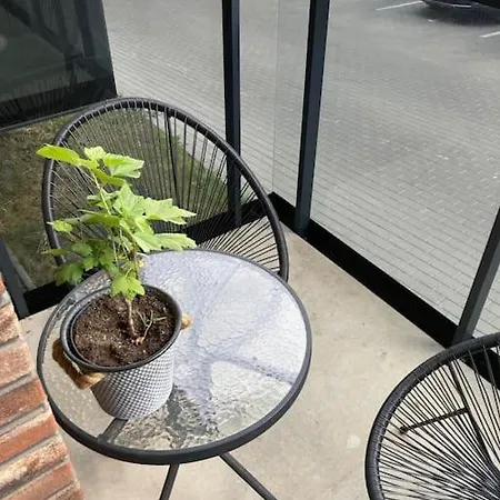 Baltupiai Apartament *